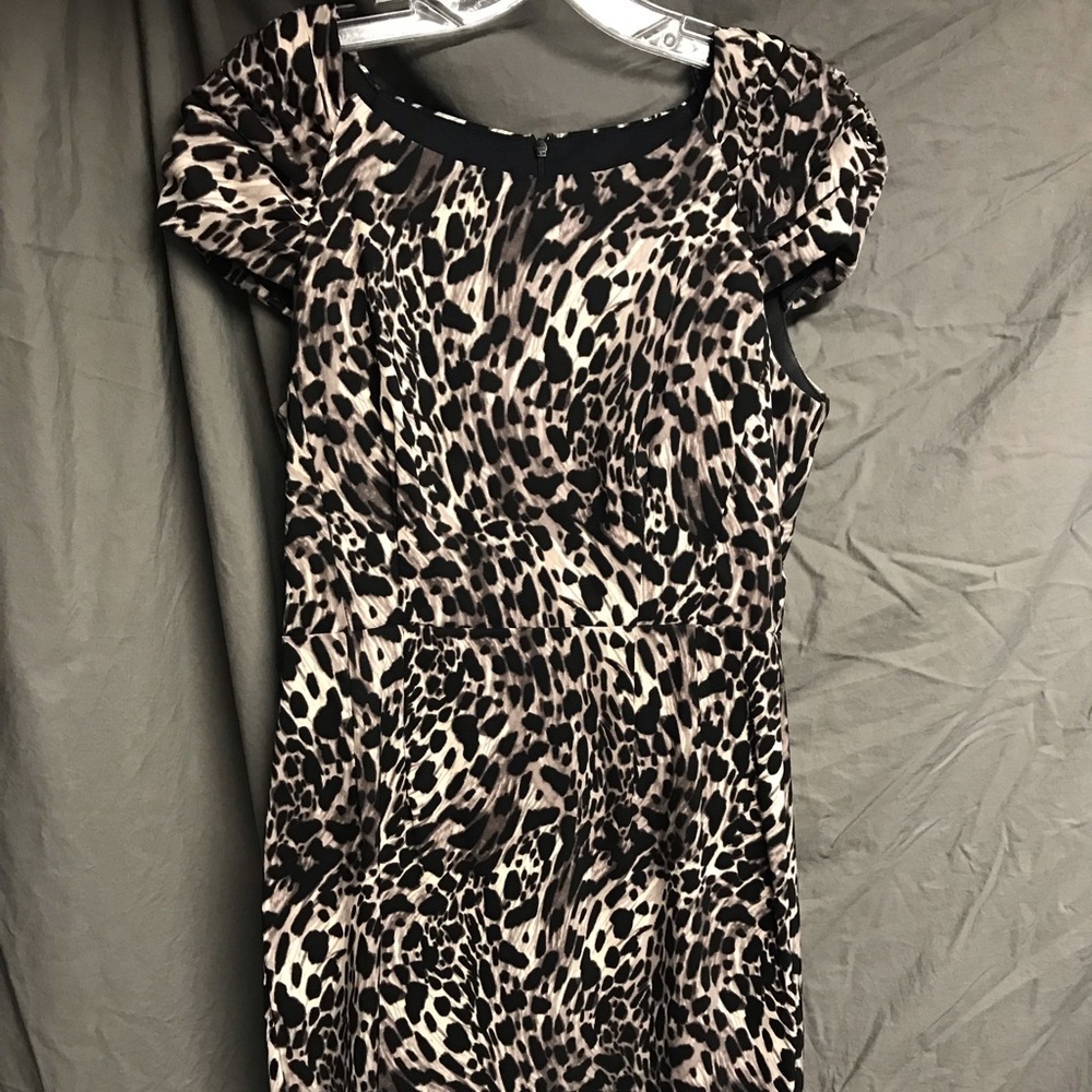 🐆BisouBisou dress. 8 Cat print. Perfect condition